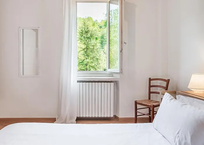 Urnest Colli